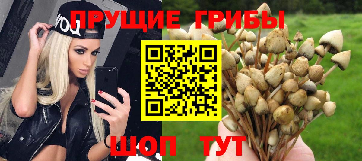 Псилоцибиновые грибы Magic Shrooms  как найти наркотики  Стерлитамак  Вход с VPN 